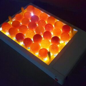 Bulk 30 Egg candler electric type